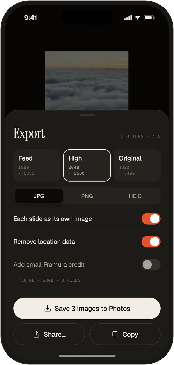 App-Ansicht: Export-Dialog mit den Größen Feed, High und Original.